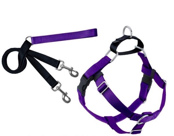2 Hounds Design Freedom No Pull Dog Harness and Leash Purple Large 1inch Nylon, Swiss Velvet & SS