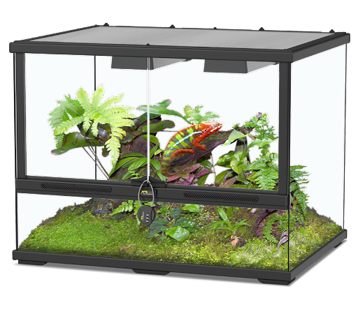 [TR08195] Terratlantis Glass Terrarium 60 x 45 x 45 cm