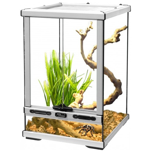 [TR08193] Terratlantis Glass Terrarium 30 x 30 x 45 cm