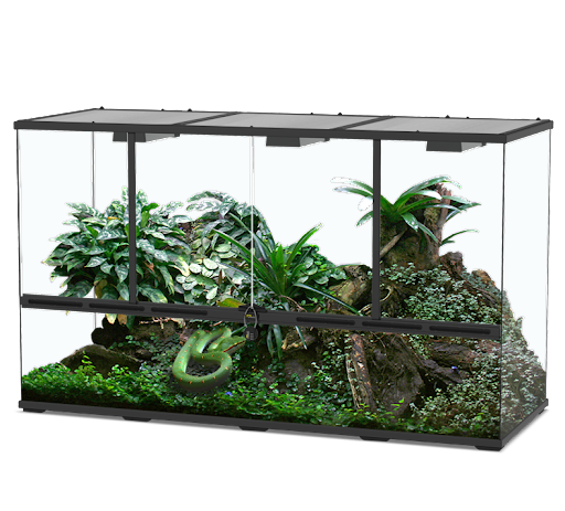 [TR06567] Terratlantis Glass Terrarium 132 x 45 x 75 cm