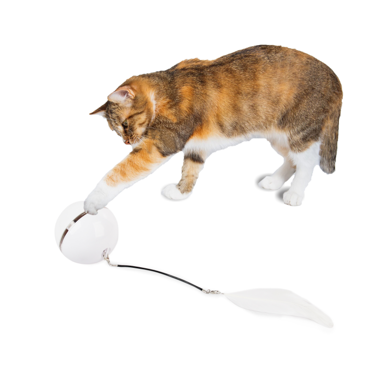 afp-All for Paws Interactive Rolling Laser Ball Cat Toy 6.5CM