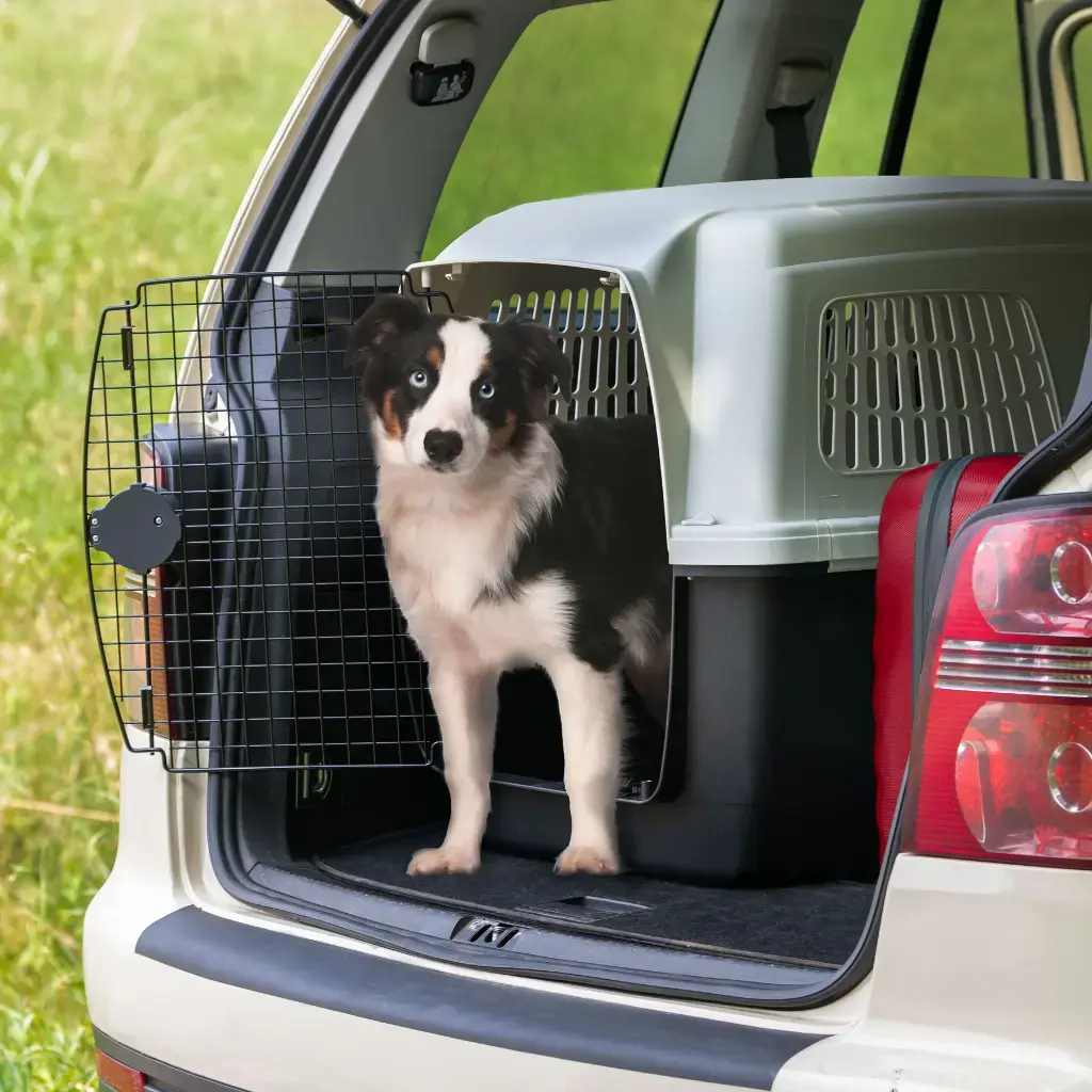 Ferplast Clipper 6 Carrier For Medium Or Large Dogs_93 x 65 x H 68 cm (IATA Approved) (1).webp