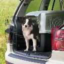 Ferplast Clipper 6 Carrier For Medium Or Large Dogs_93 x 65 x H 68 cm (IATA Approved) (1).webp
