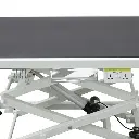 Shernbao Accordion Electrical Pet Grooming Table(FT-899P) 125x65x27-123cm.webp