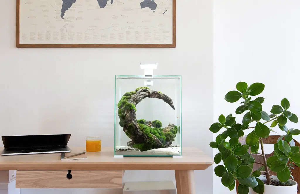 Aquael Shrimp Set Smart White-Day & Night[Volume - 10L] (3).webp