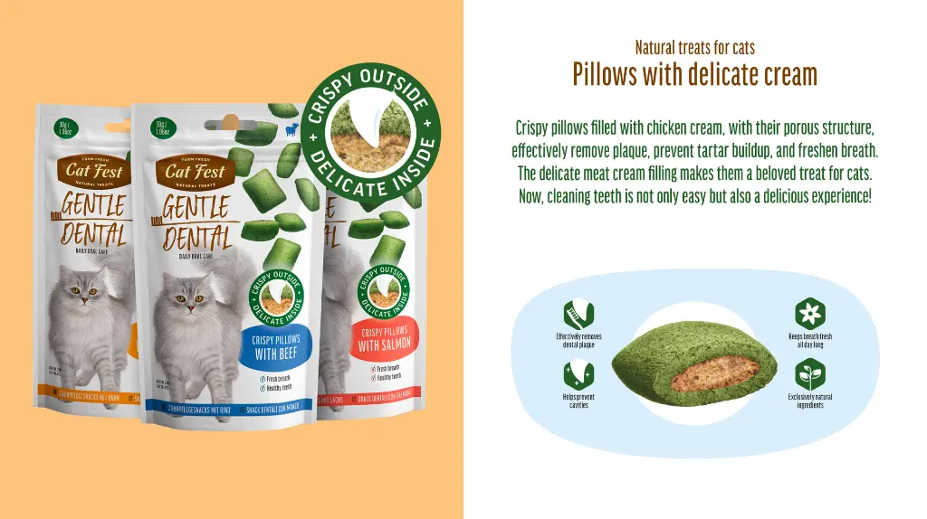Cat Fest Dental Treats For Cats -Crispy Pillows -Beef 30g.webp