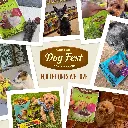 Dog Fest Meaty Coins With Chicken And Duck Rings 90g (4).webp