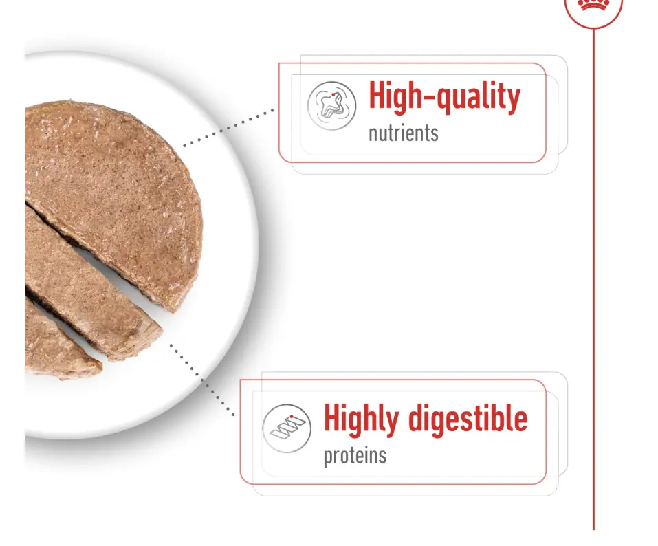 Screen Shot 2026-04-08 at 8.26.48 AM.webp