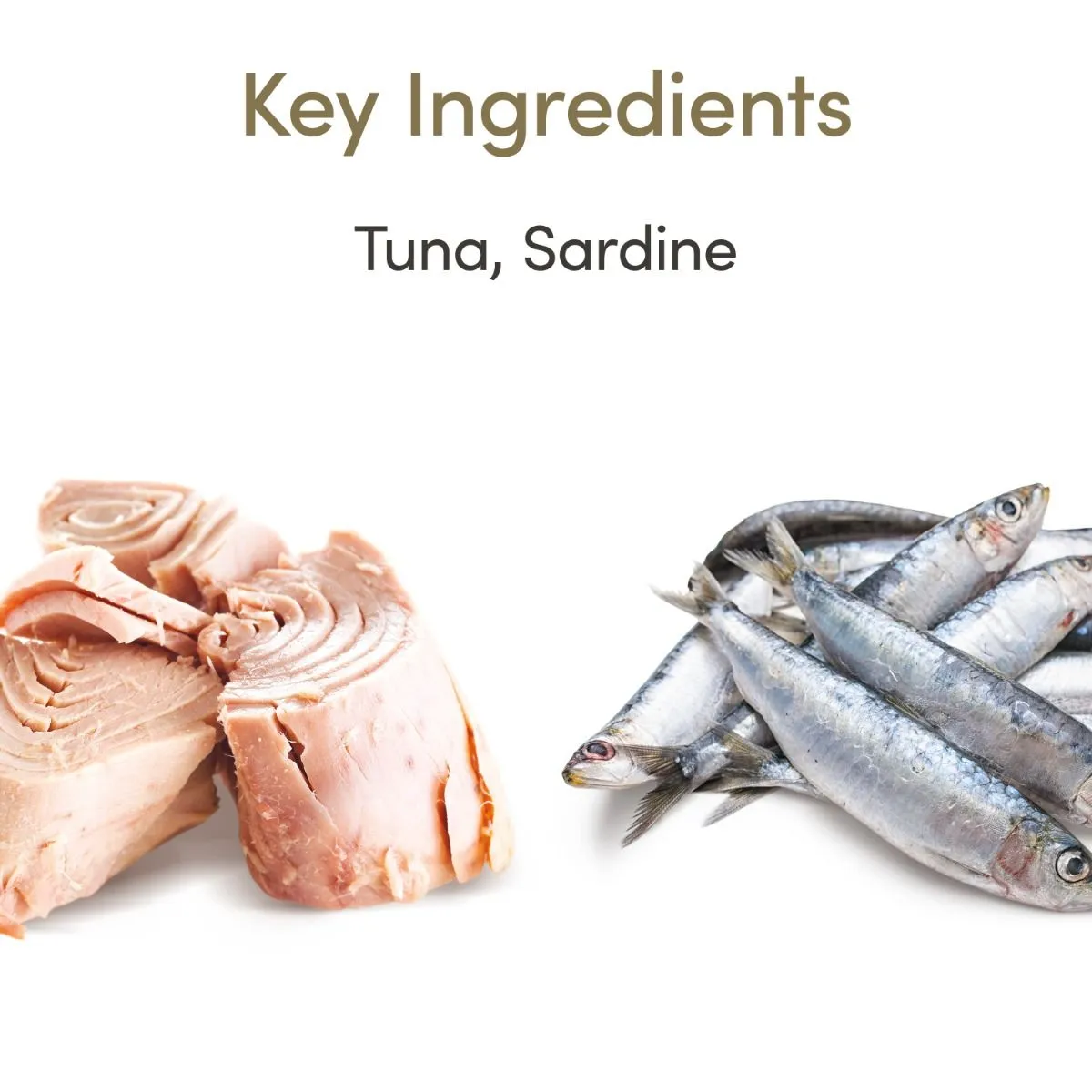 Applaws Cat Senior Tuna with Sardines Canned Food 70gm