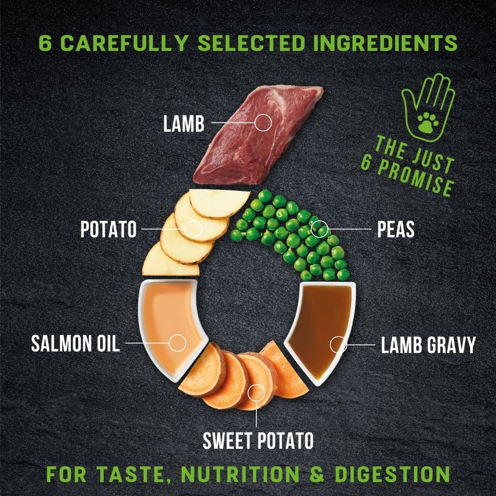 Harringtons Just 6 Lamb Grain Free Wet Dog Food 380gm