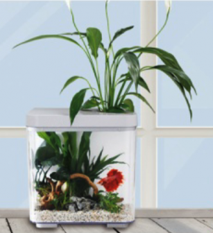 KW Zone Dophin 7L Mini Betta Tank Kit Without Temperature Display