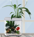 KW Zone Dophin 7L Mini Betta Tank Kit Without Temperature Display