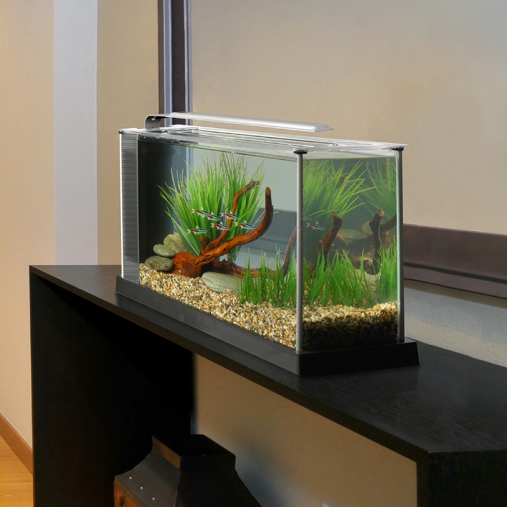 Fluval Spec Aquarium Kit 19L 5 US Black