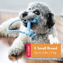 KONG Puppy Goodie Bone with Rope Teething Rubber Teeth Cleaning Dog Toy Assorted Colours XS