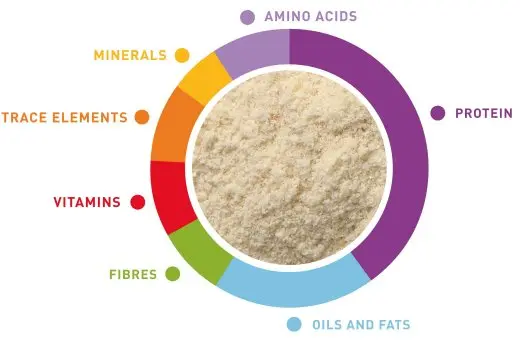 Padovan Baby Patee Universelle 100gm