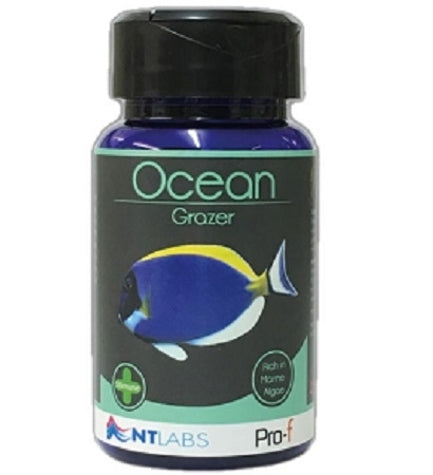 NT Labs Ocean Grazer Food for Fish - 110G