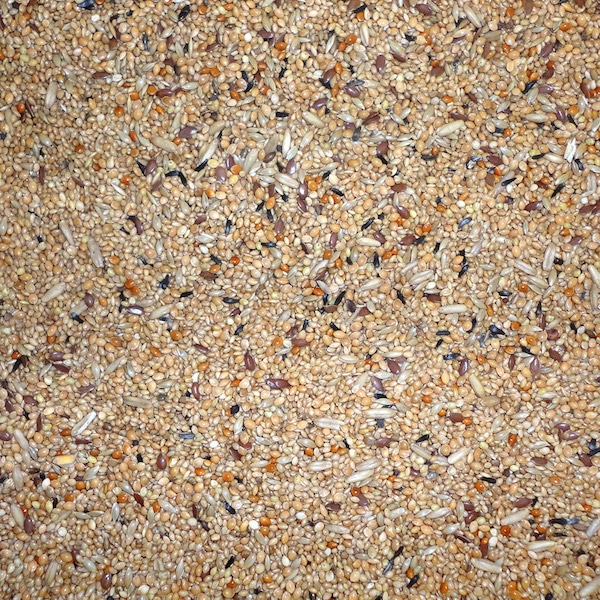 Farma Exotic Mix 20kg