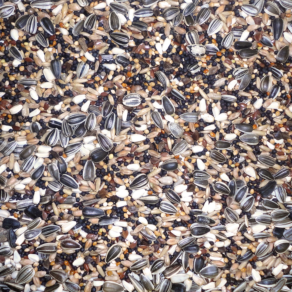 Farma Finch Budget Mix 20kg