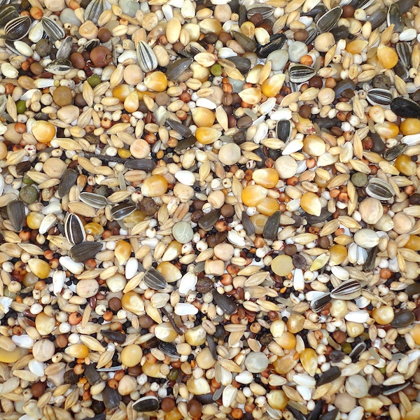 Farma Moulting Diet 20kg