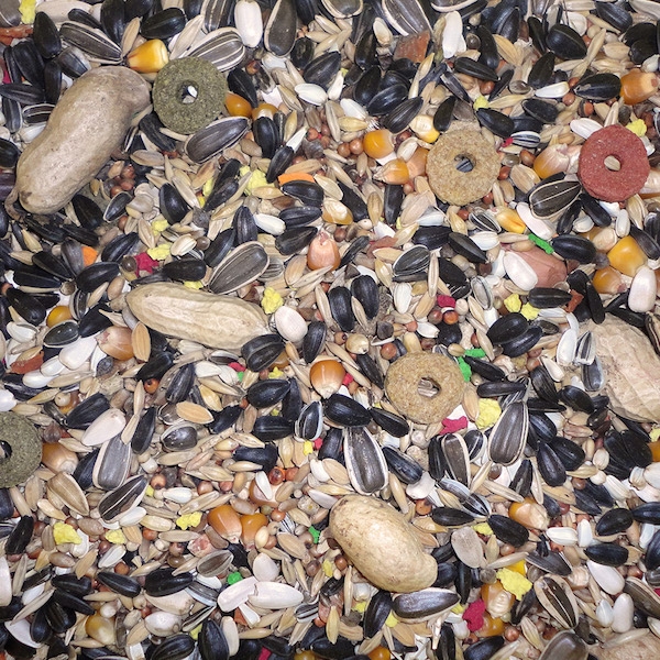Farma Parrot Special Mix  800gm
