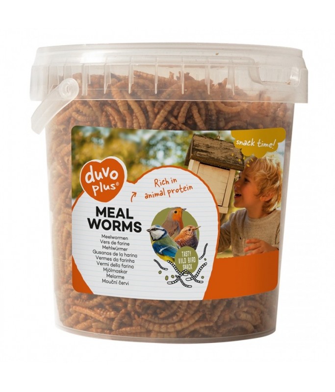 Duvo Meal Worms Bucket Bird Food 200gm
