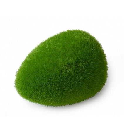 Aqua D'Ella Moss Ball for Aquariums Medium