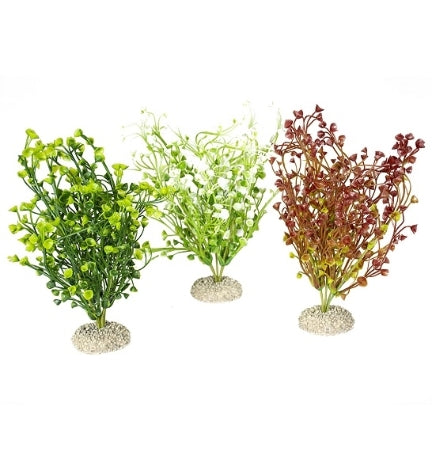 Aqua D'Ella Plant Bacopa Mixed Colors - WHITE/25CM