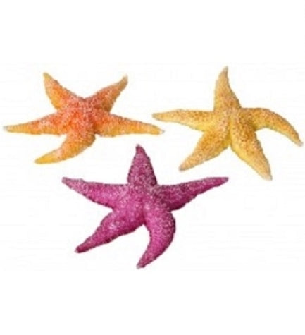 Aqua D'Ella Real Sea Star for Aquariums YELLOW 17X15X2.3CM