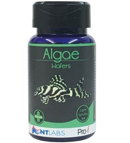 NT Labs Algae Wafers Fish Food - 350G