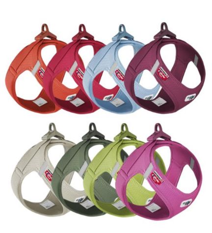 Curli Vest Harness with Curli Clasp Air Mesh for Dogs - BLUE/XS