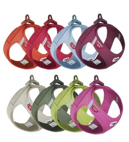Curli Vest Harness with Curli Clasp Air Mesh for Dogs - SKYBLUE/SMALL