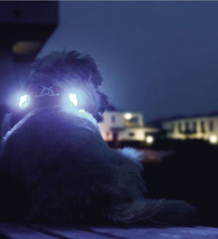 Curli Luumi LED Safety Lights - RED