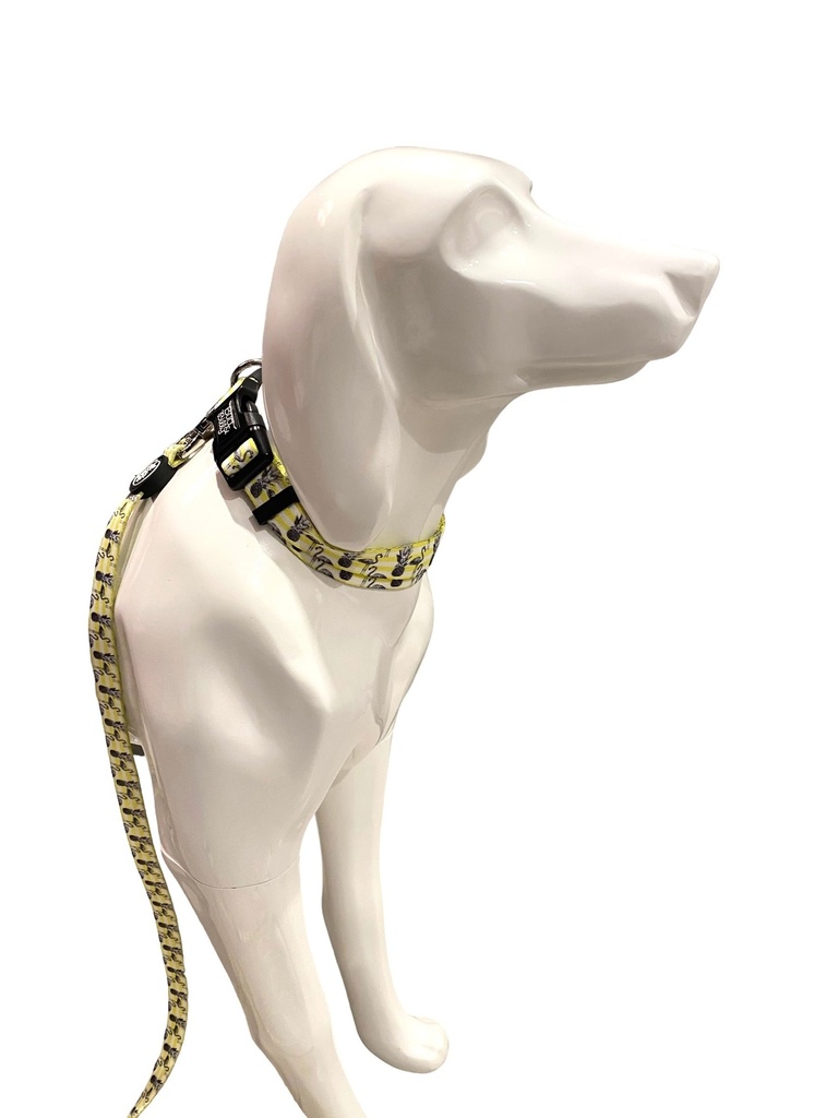 Bud & Billy Flamingo Collar 20-28cm