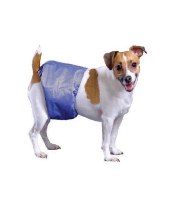 Pooch Pad Poochpants Male Wrap Large 23 to 28inch