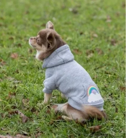 Trixie Rainbow Falls Hoodie for Dogs - LIGHT GREY/27CM