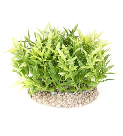 Aqua D’Ella Plant Miracle Moss Aquarium Décor - Green/7.5cm