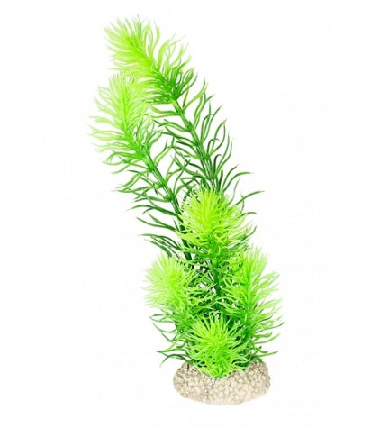 Aqua D'Ella Plant Hornwort for Aquariums DARK GREEN/MEDIUM