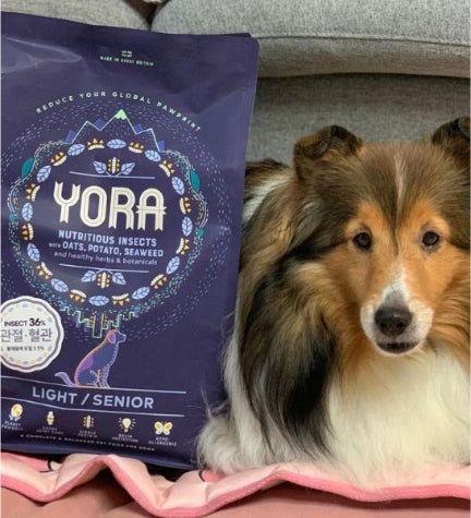 Yora Pet Foods Insect Protein Light Senior Dry Dog Food - 1.5KG