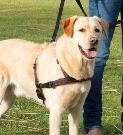 Trixie Lead n Walk Soft Training Black Harness for Dogs M-L