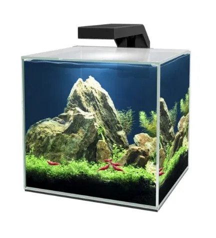 [400722-1] Ciano Cube 10 LED Aquarium 22x22x26cm 