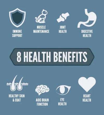 Orijen Guardian 8 Dry Cat Food - 340G