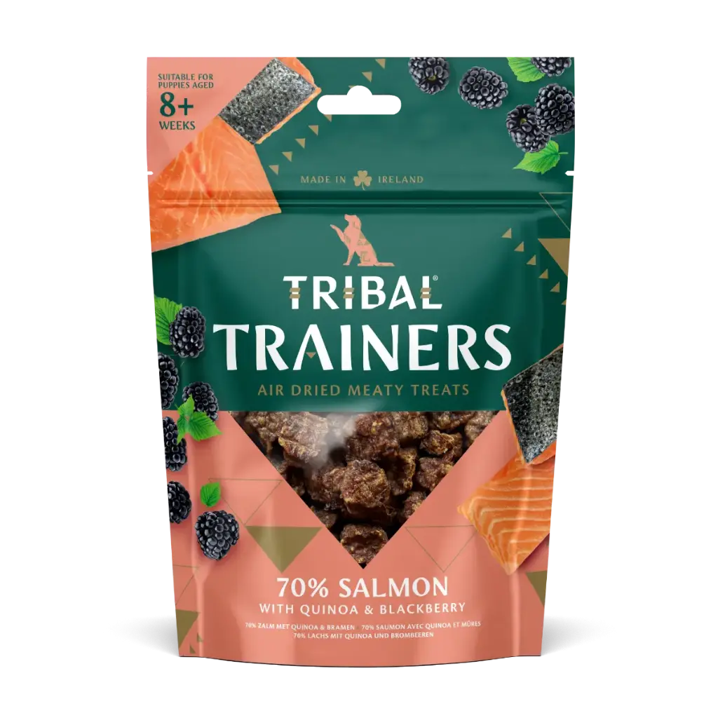 Tribal Trainers Salmon Quinoa & Blackberry Dog Treats 80gm