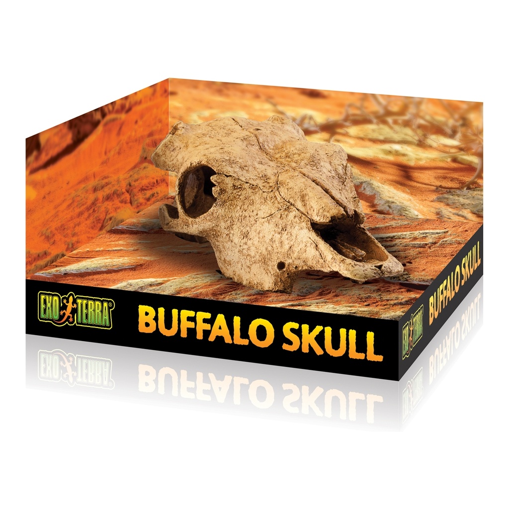 Hagen Cattle Skull - Terrarium Decor