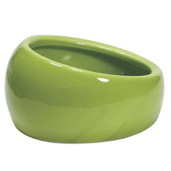 Hagen Ergonomic Dish Green Large