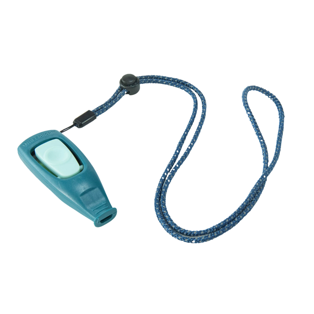 Coachi Puppy & Mini Coachi Puppy & Mini Whizzclick Teal & Mint