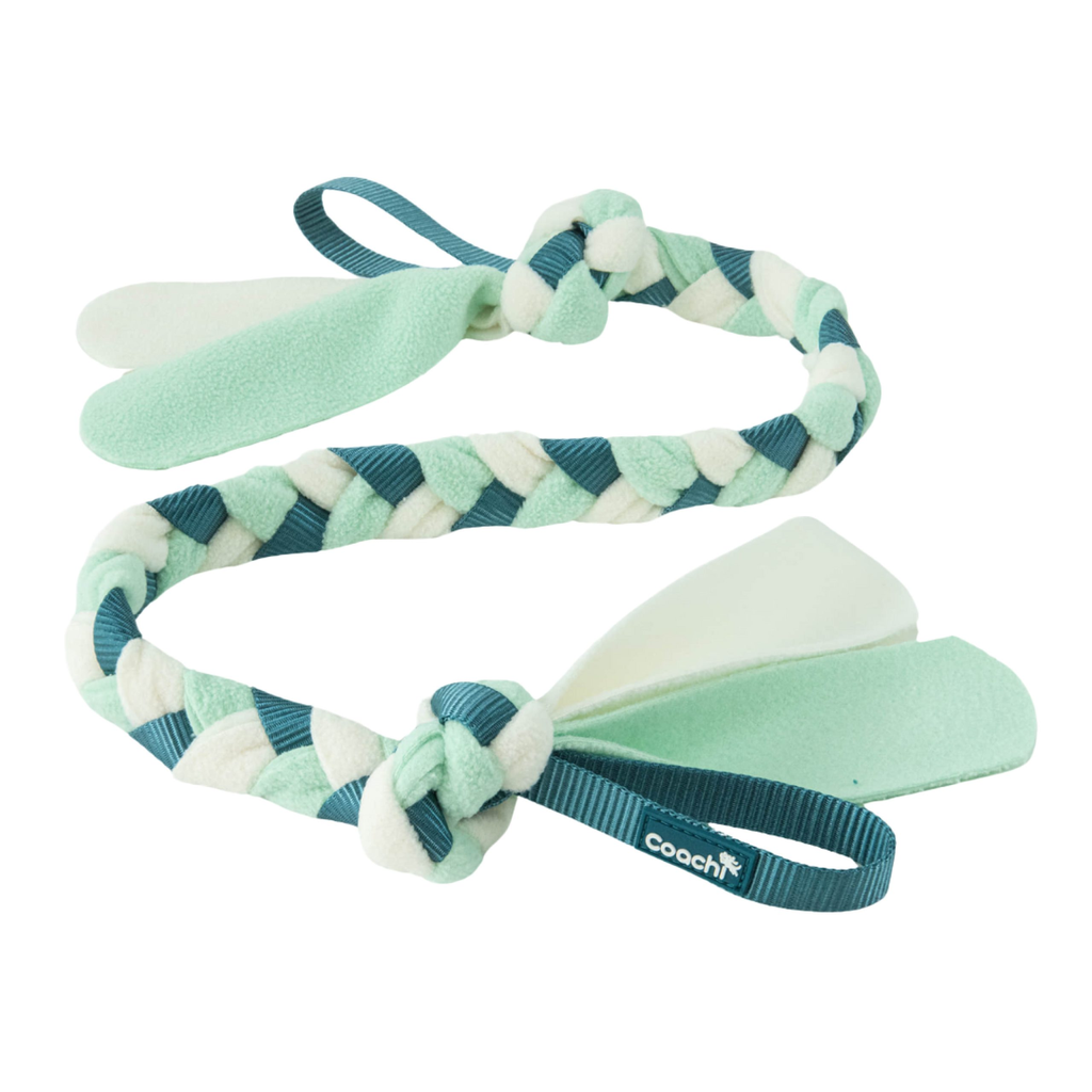 Coachi Puppy & Mini Coachi Puppy & Mini Tuggi Tug Teal & Mint