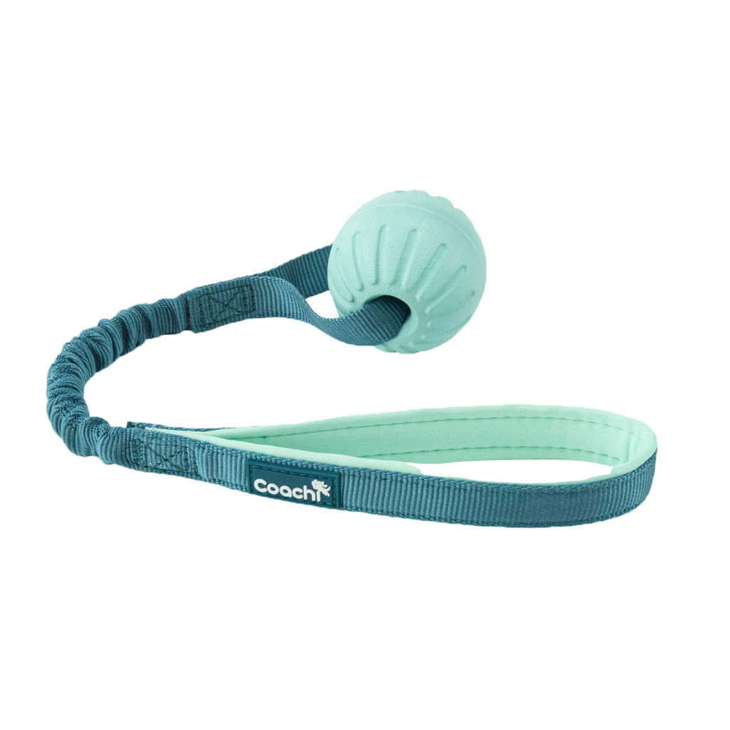 Coachi Puppy & Mini Coachi Puppy & Mini Tuggi Ball Teal & Mint