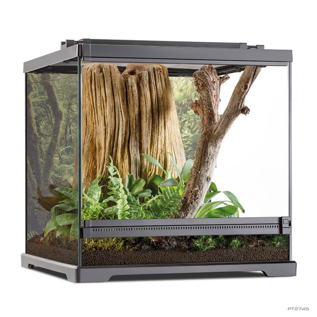 Exo Terra Dart Frog Terrarium Amphibian Habitat 45x45x45 cm