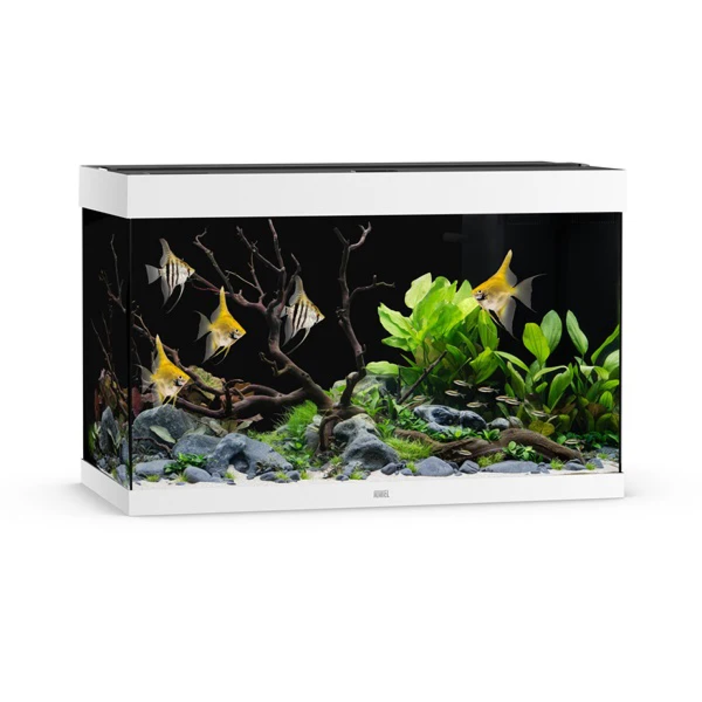 Juwel Rio 290 LED White