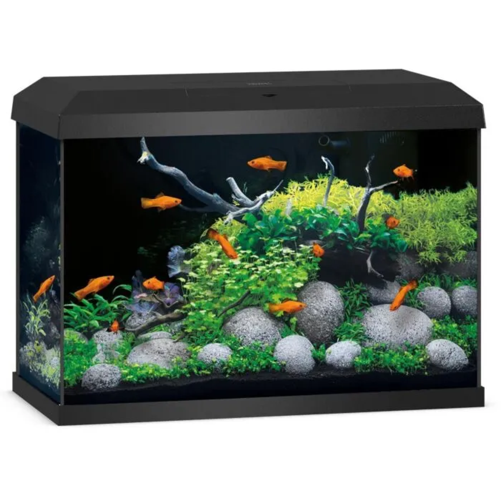JUWEL Primo 70 LED 2.0 Black